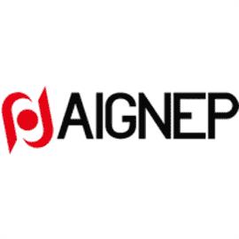 Aignep 01VS050003 V.EP 5/2-1/4 valve